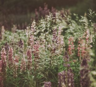 Natürlich. Schön Naturkosmetik Mainz