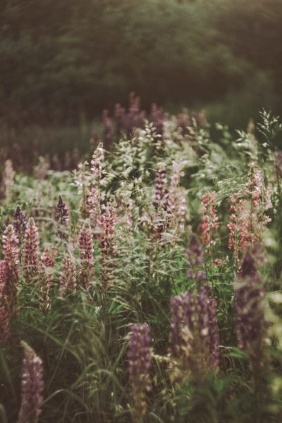 Natürlich. Schön Naturkosmetik Mainz